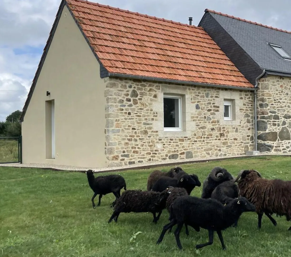 Menhirs Et Moutons Ouessant Apartman Plouec-du-Trieux